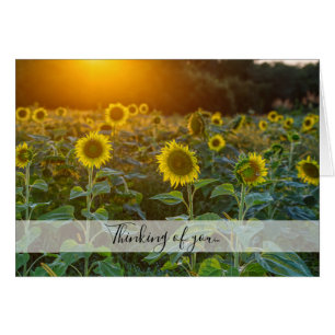 Sunset at Sunflower Field Thinking You Kaart