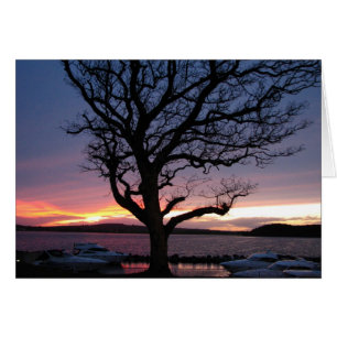 Sunset at the Harbour