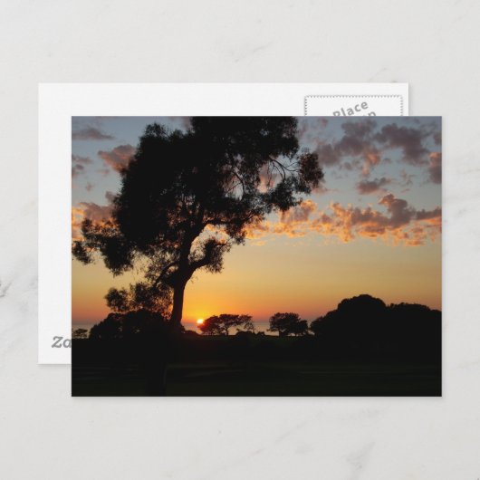 Sunset at Torrey Pines Briefkaart (Voorkant / Achterkant)