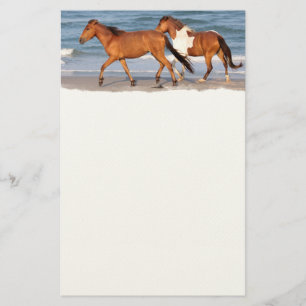 Sunset Beach Horse Briefpapier
