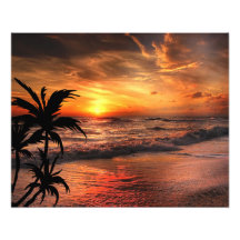 SUNSET BEACH NATUUR BEAUTY