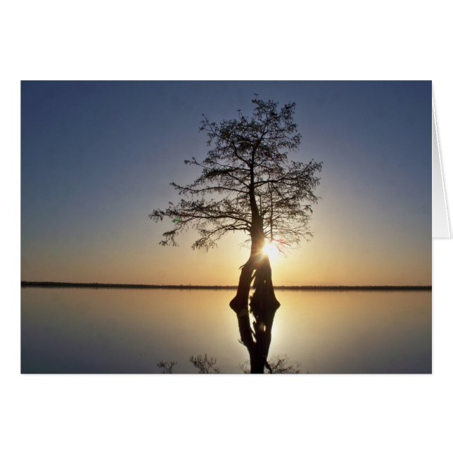 Sunset Behind a Tree (Voorkant Horizontaal)