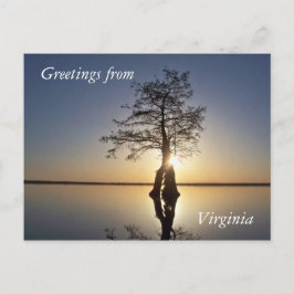 Sunset Behind a Tree Briefkaart