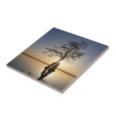 Sunset Behind a Tree Tegeltje (Zijkant)