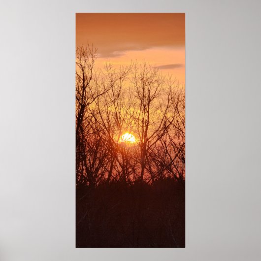 Sunset Behind the Trees Poster (Voorkant)