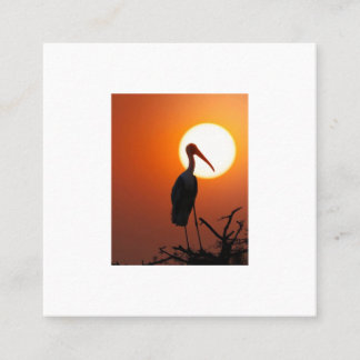 Sunset Bird on Branch - Natuur kunst aan de muur Vierkante Visitekaartje