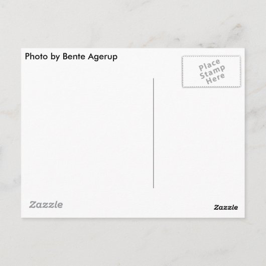 Sunset Briefkaart (Achterkant)