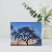 Sunset Briefkaart (Staand voorkant)