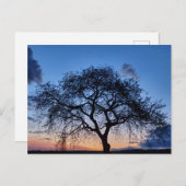 Sunset Briefkaart (Voorkant / Achterkant)