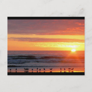 Sunset Briefkaart