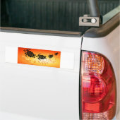 Sunset-Bubble-Turtle Bumpersticker (Op Truck)