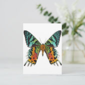 Sunset Butterfly Briefkaart (Staand voorkant)