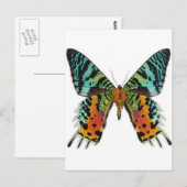 Sunset Butterfly Briefkaart (Voorkant / Achterkant)