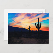 Sunset Cactus Desert Dusk Briefkaart (Voorkant / Achterkant)