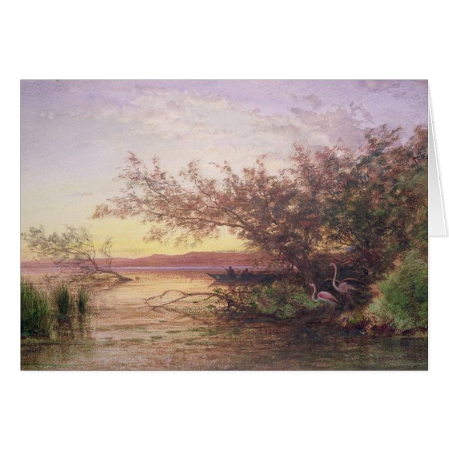 Sunset, Camargue (Voorkant Horizontaal)