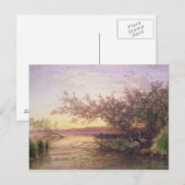 Sunset, Camargue Briefkaart (Voorkant / Achterkant)