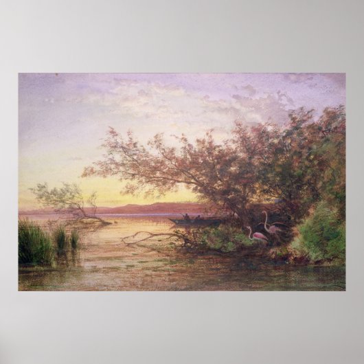 Sunset, Camargue Poster (Voorkant)