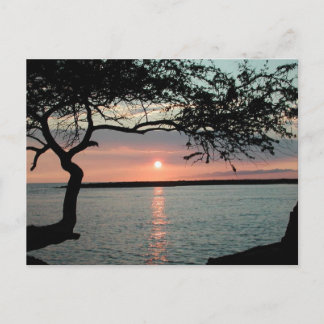 Sunset Carmel, Ca. Briefkaart