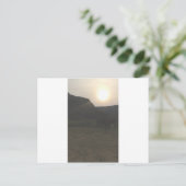 Sunset Cattle Briefkaart (Staand voorkant)