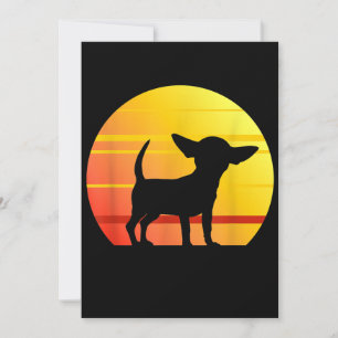 Sunset Chihuahua Aankondiging