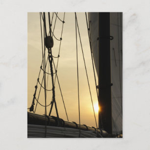 Sunset Cruise Briefkaart