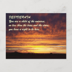 Sunset DESIDERATA Briefkaart