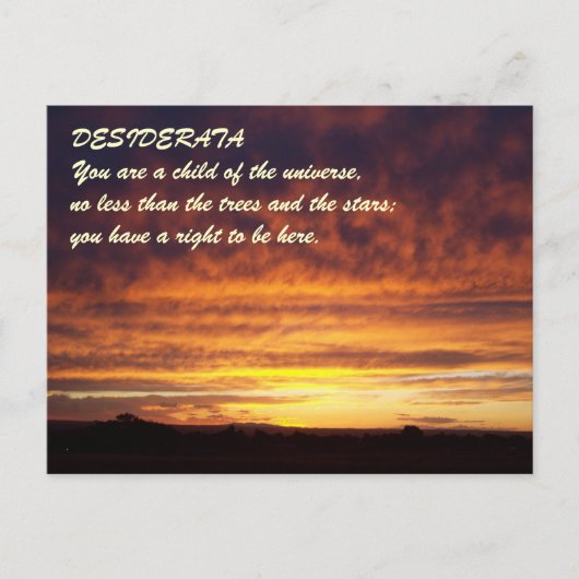 Sunset DESIDERATA Briefkaart (Voorkant)