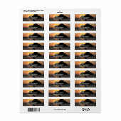 Sunset Divi Divi-structuur Etiket (Full Sheet)