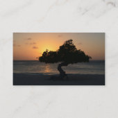 Sunset Divi Divi Tree Visitekaartje (Achterkant)