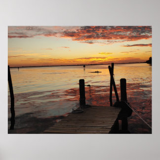 Sunset Dolphins Poster