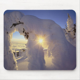 Sunset door de Snowghosts in Big Mountain nabij Muismat