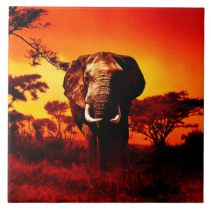 Sunset Elephant Tegeltje
