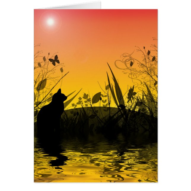 Sunset Fanatsyland (Voorkant)