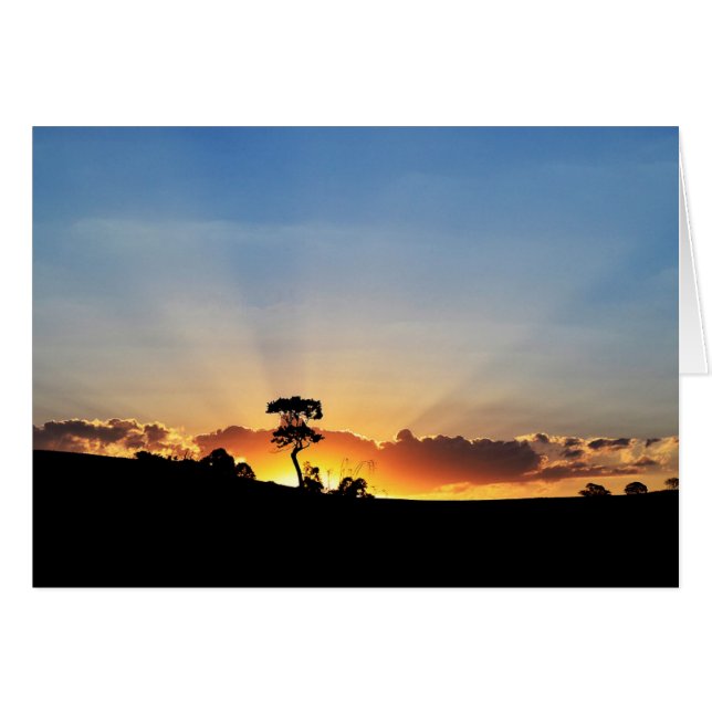 Sunset Farm Londrina (Devant horizontal)