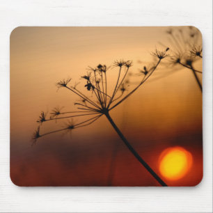 Sunset Field Flowers Muismat