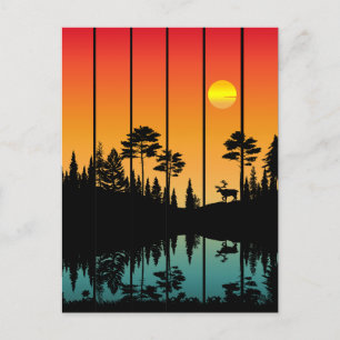 Sunset Forest Sunrise Scenery Briefkaart