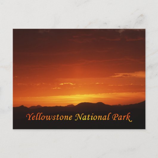 Sunset from Mt. Washburn Briefkaart (Voorkant)