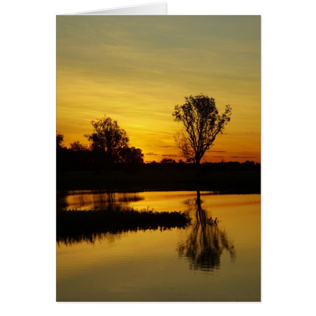 Sunset, Geel Water Billabong (Voorkant)