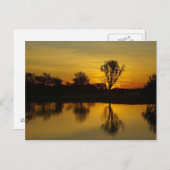 Sunset, Geel Water Billabong Briefkaart (Voorkant / Achterkant)