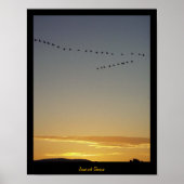 Sunset Geese Poster (Voorkant)