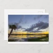 Sunset, George LeStrange Preserve, Fort Pierce, FL Briefkaart (Voorkant / Achterkant)