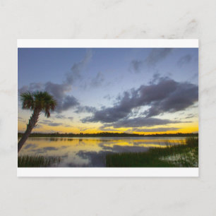 Sunset, George LeStrange Preserve, Fort Pierce, FL Briefkaart