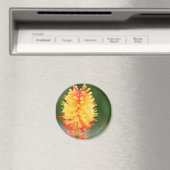 Sunset Glow Magnet Magneet (Insitu (Vaatwasser))