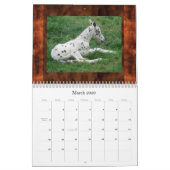 SUNSET HILL APPALOOSAS (HERZIEN) KALENDER (Mar 2026)
