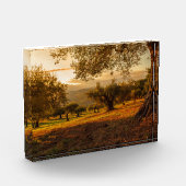 Sunset Hills Autumn Trees Fotoblokken (Links)