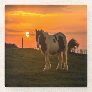 Sunset Horse Glazen Onderzetter