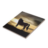 Sunset Horse SIlhouette Gift Tegel Tegeltje (Zijkant)