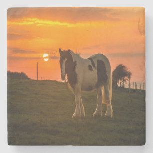 Sunset Horse Stenen Onderzetter