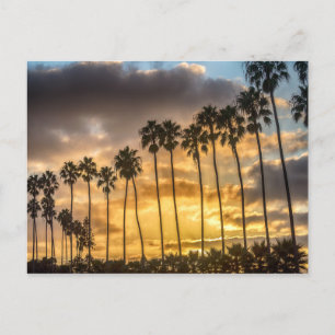 Sunset in Californië met Palm Trees Briefkaart