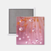 Sunset in Crystal Magnet Magneet (Voorkant / Achterkant)